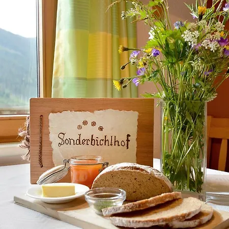 Sonderbichlhof Farm stay Fuegen