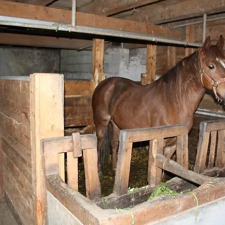 Farm stay Sonderbichlhof Fuegen